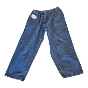 Mainstreet Blues Women’s Plus 22WP Pull On Jeans Elastic Waist Medium Wash